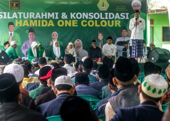Hamida One Colour Siap Menangkan PPP di Pemilu 2024