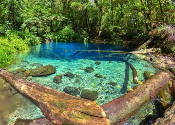 Danau Kaco, Mutiara Tersembunyi di Hutan Jambi