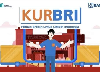 Jangan Lewatkan! Peluang Emas untuk UMKM dengan KUR BRI