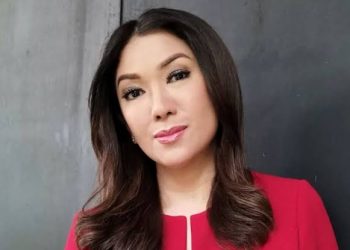 Fifi Aleyda Yahya, Dari Layar Kaca Menuju Puncak Kebijakan Komunikasi