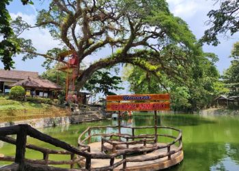 Liburan Murah Meriah? Coba Serunya Main ke Sendang Asmoro Park!