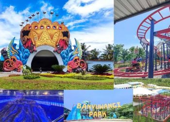 Liburan Seru di Banyuwangi Park: Petualangan Tanpa Batas