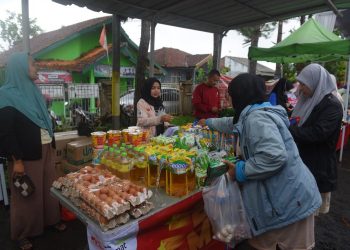 Pelaku UMKM Sambut Baik Peluncuran BPI Danantara