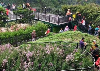 5 Rekomendasi Wisata Papajar yang Harus Dikunjungi, Cocok Ajak Keluarga 