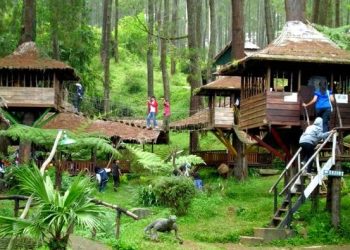 Rumah Pohon Jatiasih: Wisata Alam di Tengah Kota Bekasi