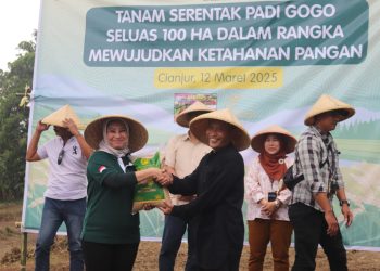Dorong Ketahanan Pangan Nasional, KABISA dan PESAT Cianjur Tanam Setentak Padi Gogo di Lahan 100 Hektare