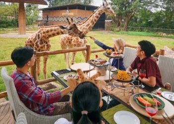 Di Tengah Kontroversi, Ini Keseruan Tak Terbantahkan Berlibur di Taman Safari