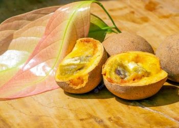 Jangan Sampai Punah! Mengenal Lebih Dekat 3 Buah Langka di Indonesia