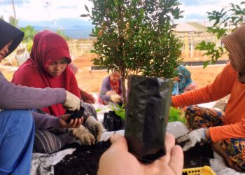 Pertahankan Predikat Desa Mandiri, Pemdes Kebonpedes Suport Bumdes Tingkatkan Hasil Pertanian