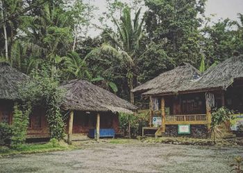 Pegang Teguh Tradisi Leluhur, Kampung Adat Kuta Dilarang Bangun Rumah Bertembok