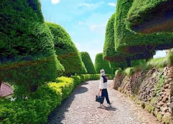 Pesona Bukit Jamur Ciwidey, Destinasi Wisata Estetik di Bandung Selatan