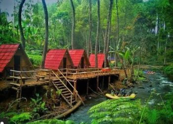 Menjelajahi Hutan Pinus Rahong: Wisata Alam Asri di Bandung Selatan