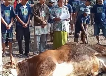 Meski Penjualan Hewan Kurban Lesu, Idul Adha tetaplah Hari Raya