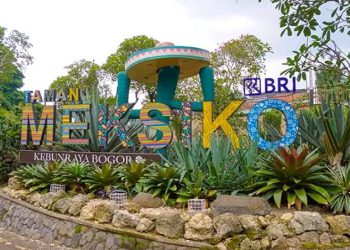 Menjelajahi Pesona Unik Taman Meksiko di Kebun Raya Bogor