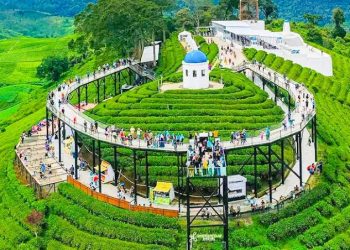 Wisata Nimo Highland, Pesona Dataran Tinggi Bandung yang Memukau