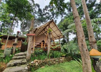 Pondok Rasamala: Destinasi Healing Glamping Mewah dengan Alam Asri
