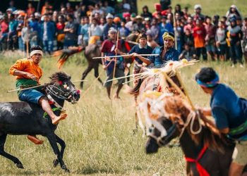 Sensasi Pasola: Menguak Makna Spiritual Perang Berkuda di Sumba NTT
