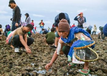 Bau Nyale: Tradisi Melegenda yang Menghidupkan Kembali Kisah Putri Mandalika