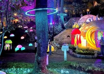 Hutan Mycelia: Sensasi Negeri Dongeng di Lembang Saat Malam Hari
