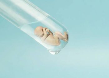 Mengenal Proses Bayi Tabung, Solusi Medis untuk Pasangan yang Sulit Punya Anak