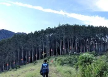 Karacak Valley, Destinasi Liburan Cantik dengan Hutan Pinus dan Air Terjun