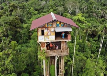 Suku Korowai, Masyarakat Adat Papua Selatan yang Tinggal di Atas Pohon
