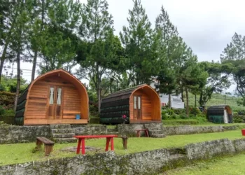 Pine Forest Camp: Glamping Ternyaman dan Ramah Kantong bagi Anak Muda