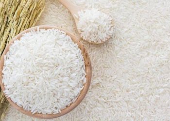 Uniknya Beras Pandan Wangi Cianjur: Langka dan Hanya Ada Dua di Dunia