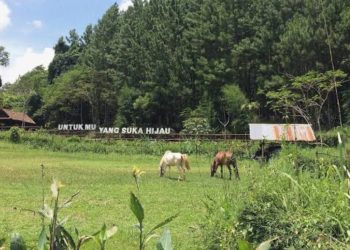 Wisata Alam Pangjugjugan: Destinasi Liburan Seru dengan Panorama Asri di Sumedang