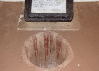 Kenapa Namanya Harus Lubang Buaya? Ternyata Ini Fakta Unik di Balik G30SPKI