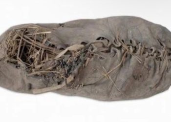 Mengenal Jejak Sejarah Sepatu Kulit, Dari Masa Purba hingga Kini