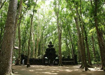 Legenda Alas Purwo, Hutan Tertua yang Dipenuhi Kisah Bangsa Jin