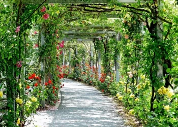 Taman Bunga Nusantara, Pesona Wisata Bunga yang Wajib Dikunjungi di Jawa Barat