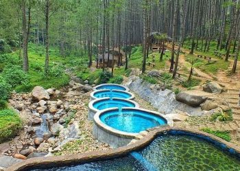 Liburan Bernuansa Hutan Pinus di Kampoeng Ciherang Sumedang