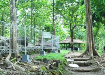 Situs Gunung Susuru: Jejak Kerajaan Galuh Kertabumi dan Pesona Alam Tersembunyi