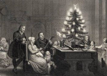 Mengapa Pohon Natal Identik dengan Pohon Cemara ? Ternyata Ini Sejarahnya!