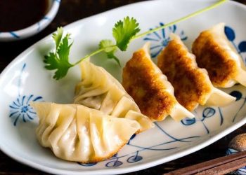 Resep Gyoza Ayam: Cara Mudah Membuat Camilan Jepang ala Restoran di Rumah