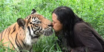 Kisah Abdullah Sholeh: Pria Asal Malang yang Hidup Bersama Harimau Selama Belasan Tahun