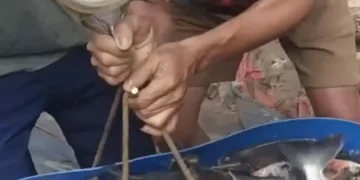 Peternak Ikan Curiga Timbangan Curang, Panen 115 Kg Berkurang Jadi 74 Kg