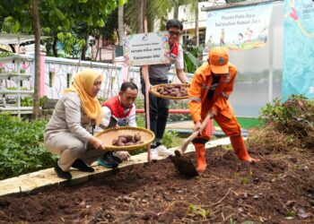 Pertamina Patra Niaga Regional JBB dan Pemprov DKI Jakarta Gelar Panen Raya Serentak di RPTRA Sunter Jaya
