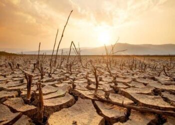 Musim Kemarau 2026 Resmi Dimulai di Sejumlah Wilayah, BMKG Ungkap Risiko El Nino