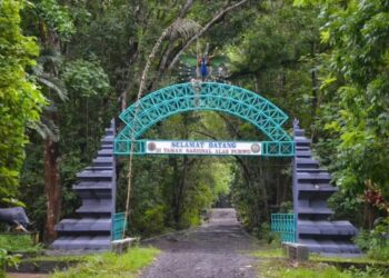 Mitos Alas Purwo, Hutan Terangker yang Diyakini Jadi Tempat Berkumpulnya Bangsa Jin