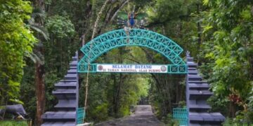 Mitos Alas Purwo, Hutan Terangker yang Diyakini Jadi Tempat Berkumpulnya Bangsa Jin