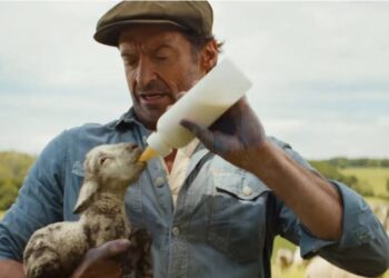 Sinopsis Film The Sheep Detectives, Misteri Unik Hugh Jackman Bersama Kawanan Domba Cerdas