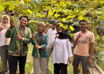 Pertamina Patra Niaga RJBB Kembangkan Urban Farming Berkelanjutan melalui Kebun Gizi Rawajaya