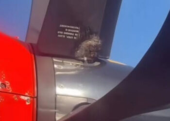 Viral Baling-Baling Pesawat Wings Air Diikat Kabel Ties, Ternyata Ini Penjelasan Lion Air
