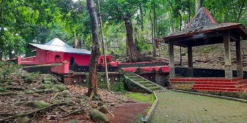 Legenda Plangon Cirebon, Tempat Keramat dengan Ratusan Monyet yang Melegenda