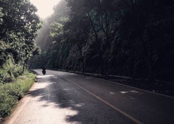 Mengenal Alas Roban, Jalur Hutan Angker di Jawa Tengah yang Melegenda