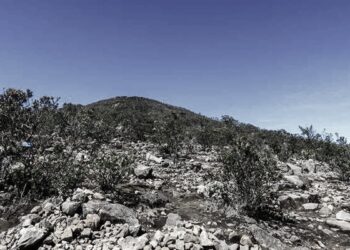 Legenda Pasar Setan Gunung Lawu, Cerita Mistis yang Melekat di Kalangan Pendaki