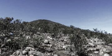 Legenda Pasar Setan Gunung Lawu, Cerita Mistis yang Melekat di Kalangan Pendaki